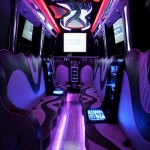 Wedding Car Rental in Kylesku 5